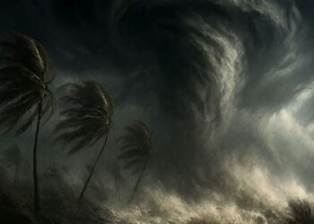 प्रति तास 90 किमी वेगाने सरकणारे ‘दितवाह’ चक्रीवादळ; तामिळनाडू–पुद्दुचेरीला रेड अलर्ट, पुढील 48 तास अतिधोक्याचे.!!!