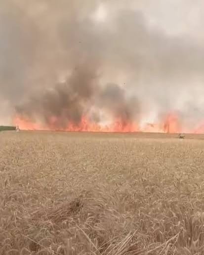 तळवेल शिवारात आगीचे तांडव ; मका व गहू सह ठिबक सिंचन जळून खाक, शेतकऱ्यांचे लाखोंचे नुकसान