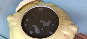 कासोद्यात दूषित पाण्याचा पुरवठा नागरिकांच्या आरोग्यावर संकट