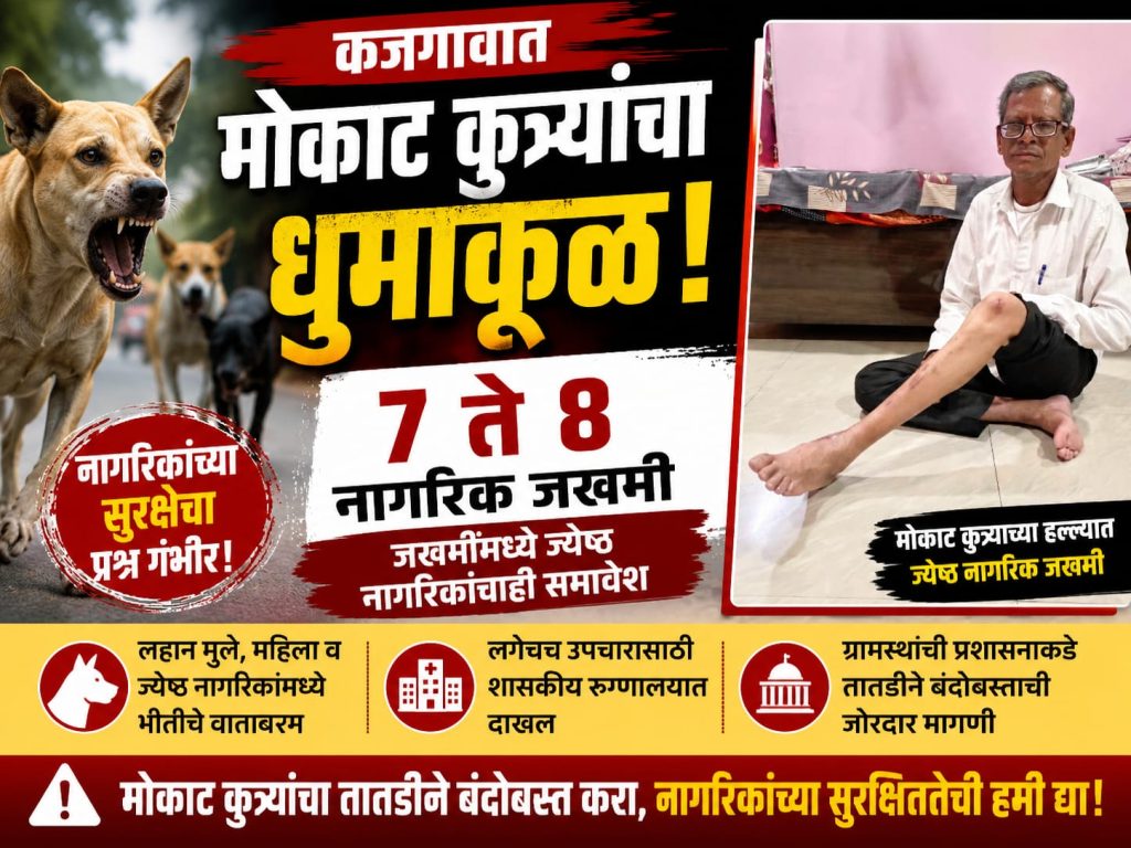 कजगावात मोकाट कुत्र्यांचा धुमाकूळ; ७ ते ८ नागरिक जखमी, तातडीने बंदोबस्ताची मागणी 1 IMG 20260719 WA1326